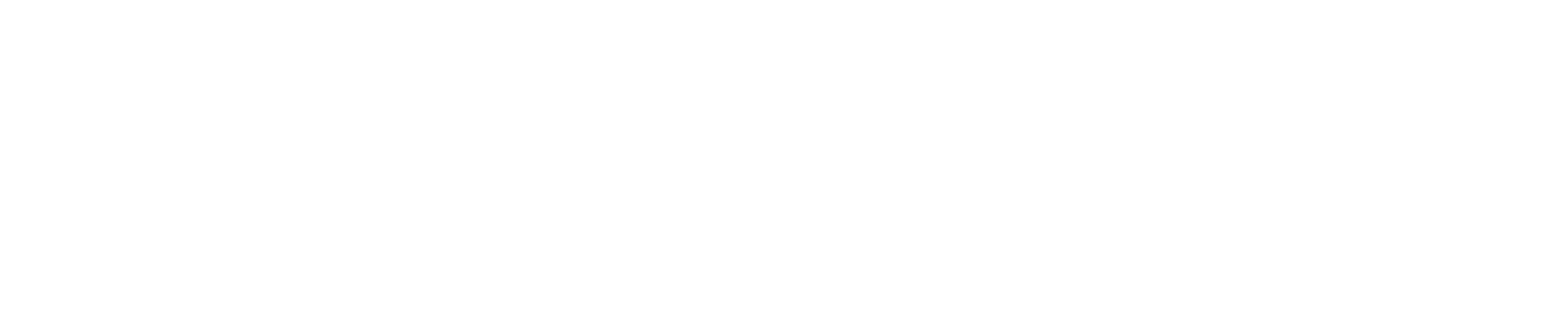 Fellow — Modern Finance Solutions